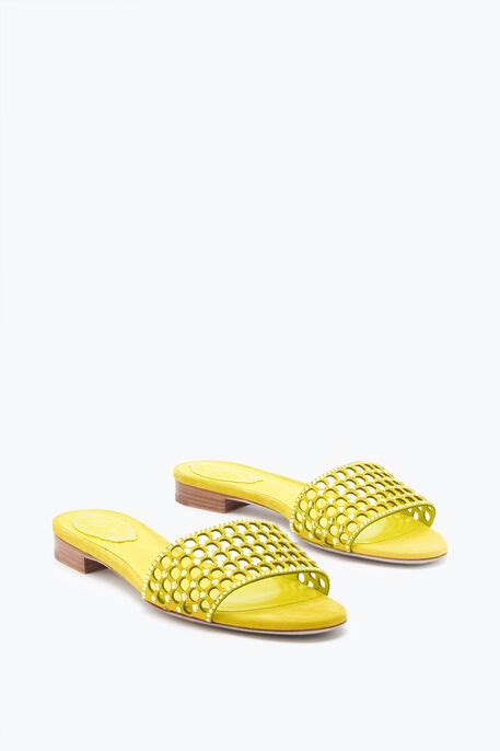 Jeweled Ginger Yellow Slider Sandal 10 Rene Caovilla®