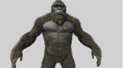 King Kong 2021 Realistic Hair Iclone 791 Or Up 2025 Free Daz 3d Models