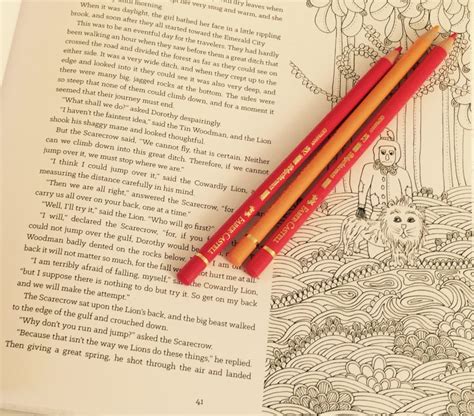 Wizard Of Oz Adult Coloring Book Review Coloring Queen