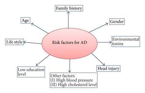 Showing Different Causal And Risk Factors For Alzheimers Disease