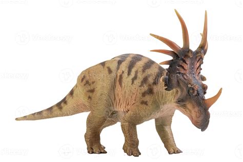 Styracosaurus Dinosaur On Isolate Background 6603759 Stock Photo At