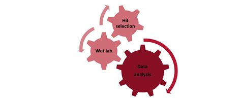 Through The Lens Of A Lead Discovery Scientist Enabling Hit