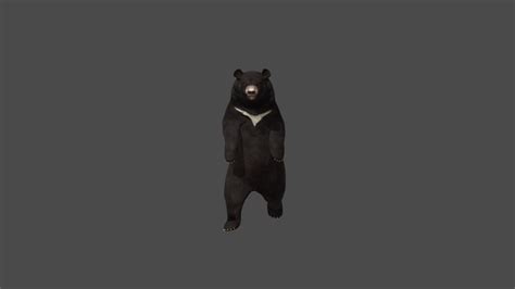 bear_upright_walking - 3D model by yehyinghsuan [89f6558] - Sketchfab