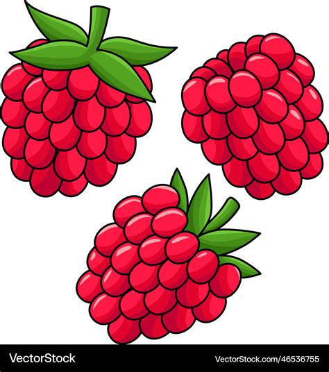 Himbeer Obst Cartoon Farbigen Clipart Lizenzfreier Vektor