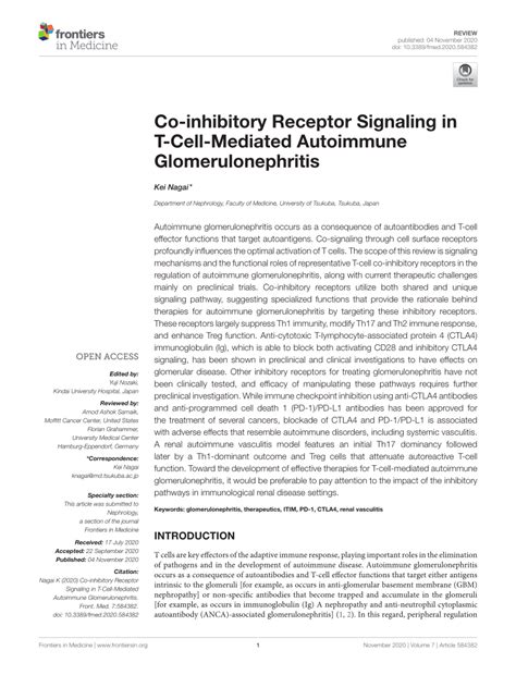 Pdf Co Inhibitory Receptor Signaling In T Cell Mediated Autoimmune