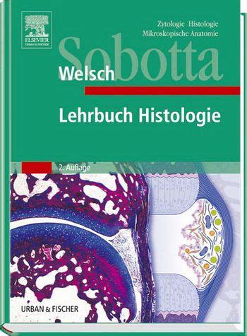 Sobotta Lehrbuch Histologie Zytologie Histologie Mikroskopische