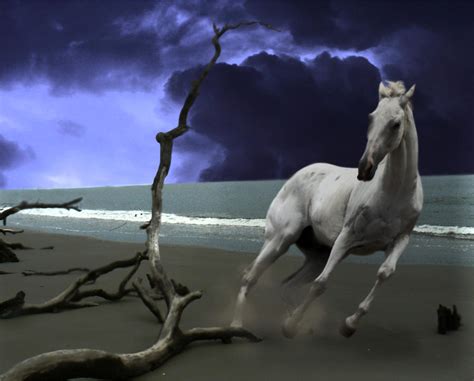 Spooked Horse By Fears Manipulations On Deviantart