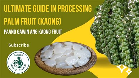 From Harvest To Delicious Kaong Delights The Ultimate Palm Fruit