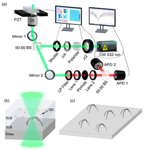 Polymers Free Full Text On Chip 3d Printing Of Polymer Waveguide Coupled Single Photon