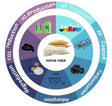 Molecules Free Full Text Biobased Kapok Fiber Nano Structure For