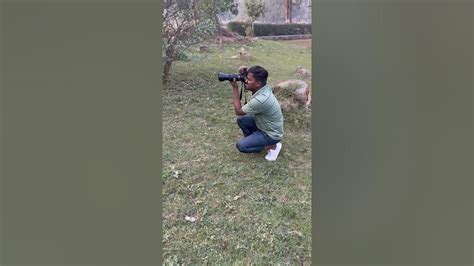 Nikon D5600 Photoshoot With Different Look Youtubeshorts Shorts Shortfeed Photography India