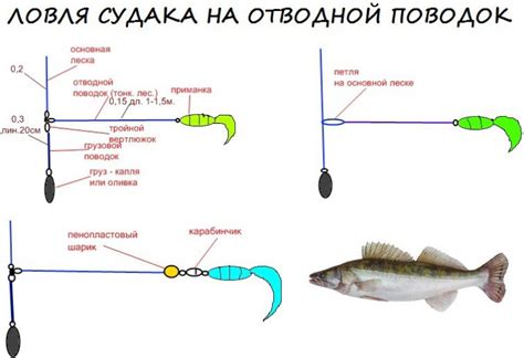 Все хитрости ловли судака на отводной поводок