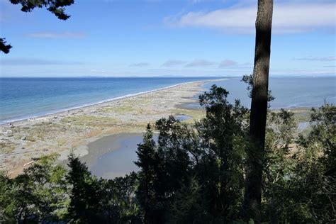 Dungeness Spit Travels With Towhee