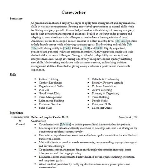 Caseworker Resume Example