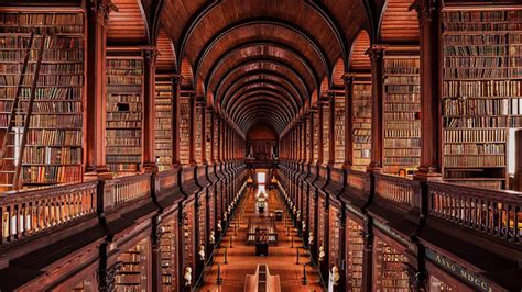 Plus Belles Biblioth Ques Du Monde Dublin Striptease Ludique