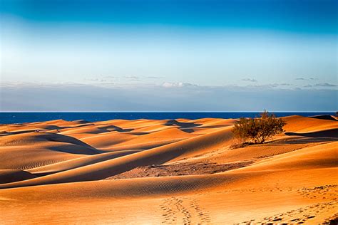 Maspalomas Auf Gran Canaria Top Tipps Für Euren Nächsten Urlaub 2025