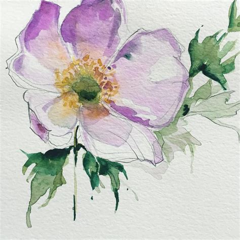 Anemones In Watercolor