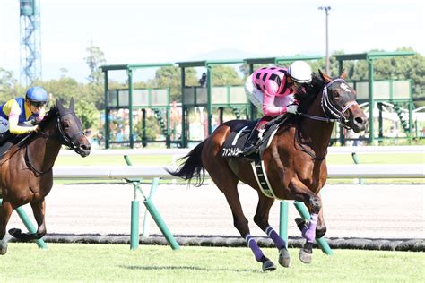 2歳戦フラッシュファントムシーフが来春へ向けて大きな1勝 デビューVスマラグドスに陣営も大きな期待 競馬ニュース特集なら東スポ競馬