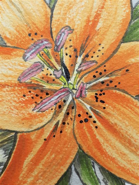 Original Wall Art Painting Orange Lily Line & Wash - Etsy