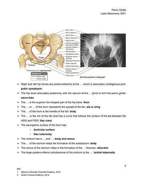 Solution Pelvic Girdle Anatomy Studypool