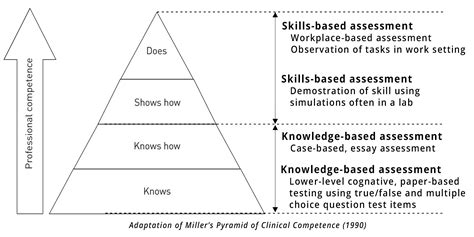 Millers Pyramid Performance Assessment Solutions By Trueability