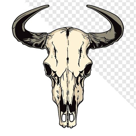 Premium PSD Buffalo Skull Vector Clipart Transparent Background