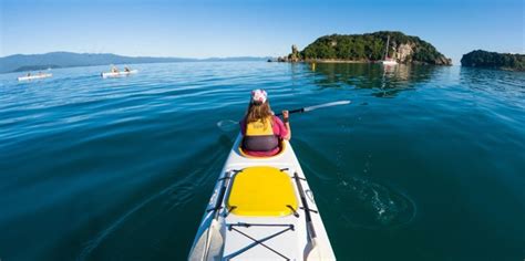 Full Day Golden Bay Freedom Kayak Abel Tasman Everything New Zealand