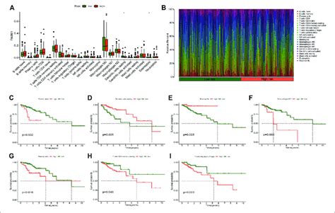 Immune Cell Infiltration Analysis A Boxplot Of Immune Cells