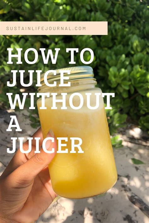 How To Juice Without A Juicer How To Juice Without A Juicer Juice