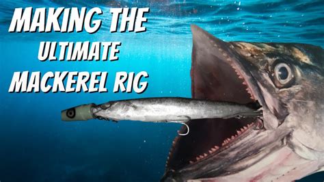 The Ultimate Spanish Mackerel Rig For Swimming Dead Baits Youtube