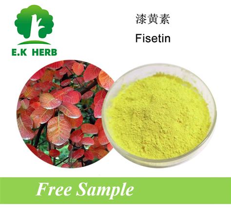 E K Herb Factory High Quality Natural Smoke Tree Extract Cotinus