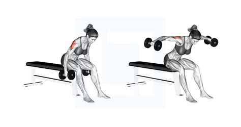 Dumbbell Rear Fly - Guide, Benefits, and Form