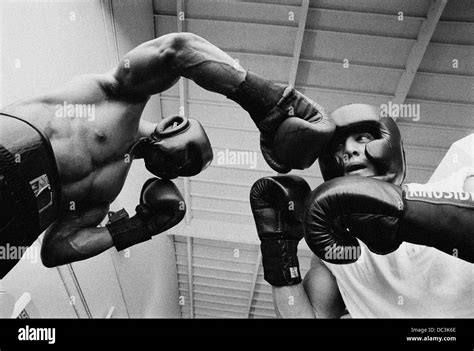 Looking Up At Two Boxers Sparring In Gym Stock Photo Alamy