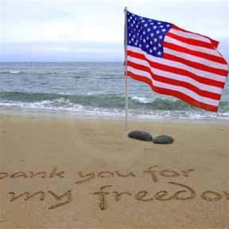 From Sea To Shining Sea Memorial Day Patriotic Flag