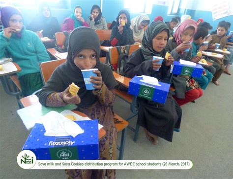 Empower Women To End Malnutrition In Afghanistan Globalgiving