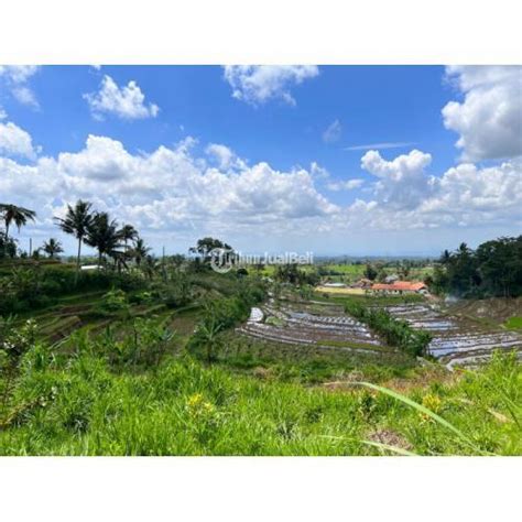 Dijual Tanah Kebun Durian Luas 1461m2 Ngargoyoso Di Karanganyar