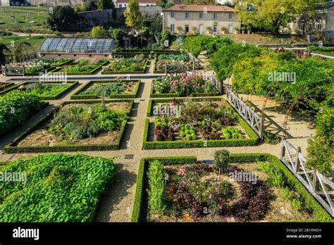 France Maine et Loire Maulevrier le château Colbert cuisine jardin