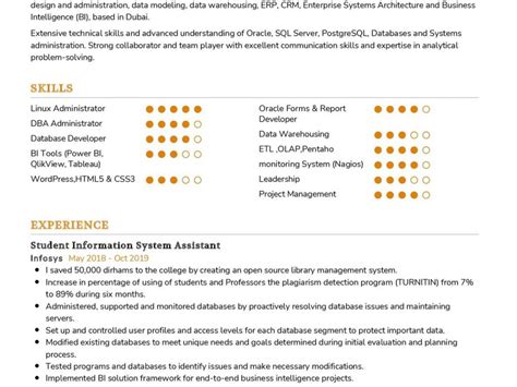 Business Intelligence Analyst CV Sample In 2025 ResumeKraft