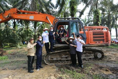 Mentan Dorong Percepatan Peremajaan Sawit Di Jambi Turisian