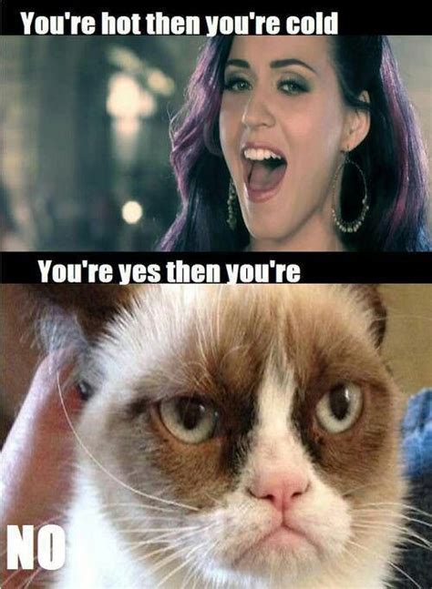 Grumpy Cat Grumpy Cat Grumpy Cat Meme Grumpy Cat Humor