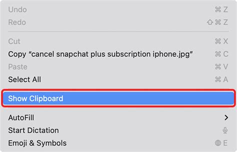 How to View Clipboard History on Mac | Beebom