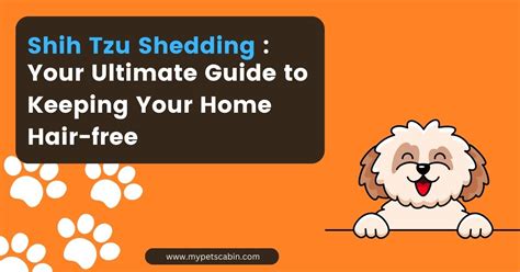 Shih Tzu Shedding Your Ultimate Guide To Keeping Your Home Hair Free