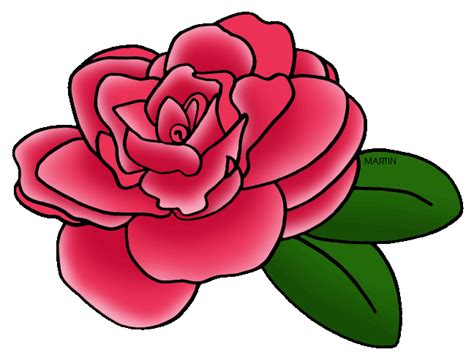 Camellia Flower Clip Art 20 Free Cliparts Download Images On Clipground 2024