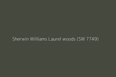 Sherwin Williams Laurel Woods SW 7749 Color HEX Code