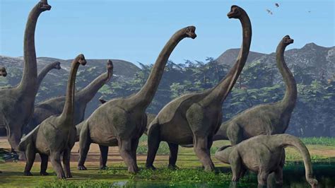 Il più grande dinosauro mai esistito sulla Terra le dimensioni sono da