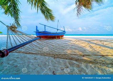 Empty Hammock Between Palms Trees At Sandy Beach Stock Image Image Of