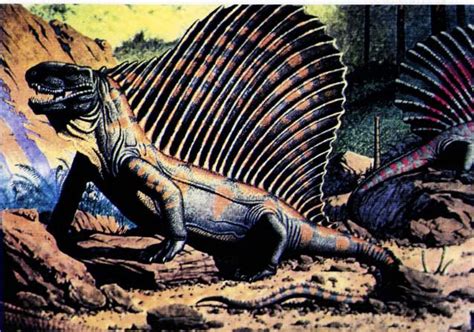 Dimetrodon Jurassic Park Wiki Fandom Powered By Wikia