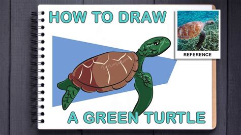 How To Draw A Cartoon Green Sea Turtle Youtube