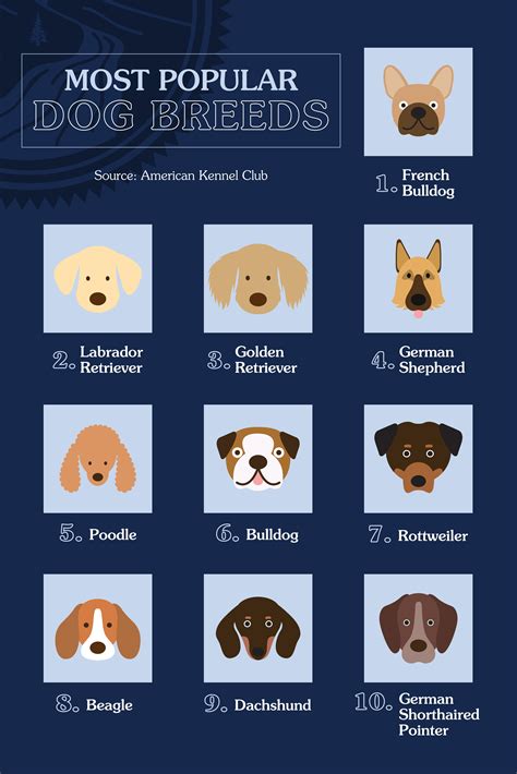 Most Popular Dog Breeds in 2024 | Most popular dog breeds, Pet breeds, Top dog breeds