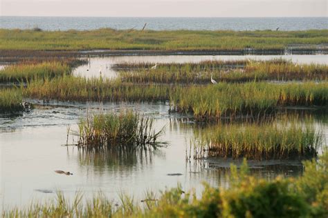 What Is A Marsh View at Arthur Ritchie blog